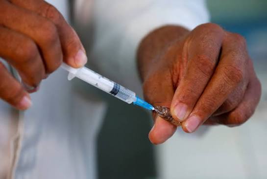 Kenya Faces Four Health Emergencies: Mpox, Ebola, Measles, Polio